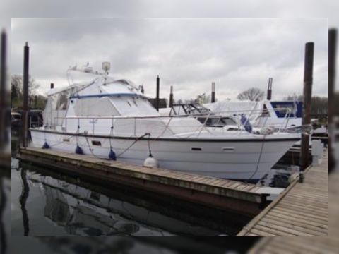 Condor Countess44