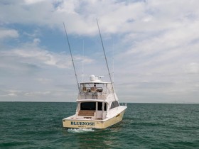 2006 Viking 56 Convertible eladó