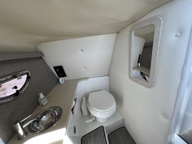 Buy 2018 Cobalt 30Sc