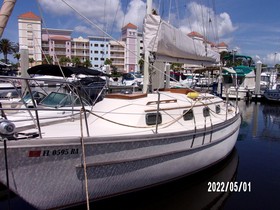 1987 Liberty Pied Piper for sale