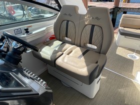 2016 Sea Ray 350 Sundancer za prodaju