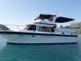 Buy 1989 Trader 41