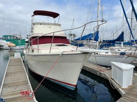 Kjøpe 1982 Bayliner Explorer