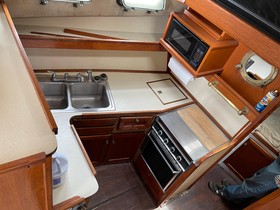 1982 Bayliner Explorer til salgs