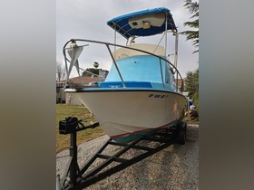 Custom Livesay Dive Fish Boat