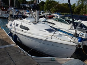 Kjøpe 2000 Hunter 290