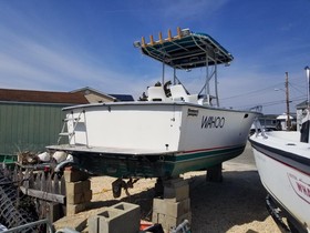 Buy 1976 Pacemaker Wahoo 26
