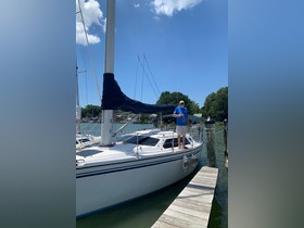 Buy 1989 Hunter Vision 32