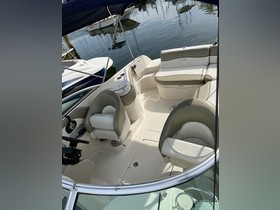 2006 Sea Ray 240 Sundeck en venta