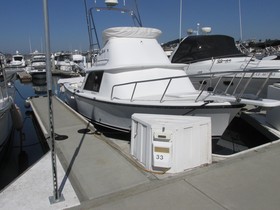 Comprar 1974 Bertram Flybridge Cruiser