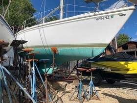 Αγοράστε 1981 Catalina 30