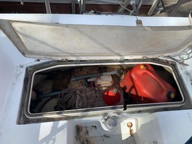 Αγοράστε 1981 Catalina 30