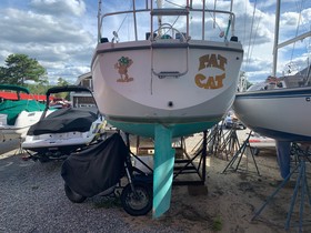 1981 Catalina 30 προς πώληση