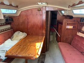 Αγοράστε 1981 Catalina 30
