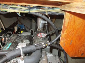 1979 CAL 31
