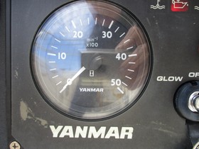 1979 CAL 31