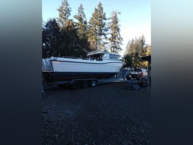 Buy 1994 Bounty Custom