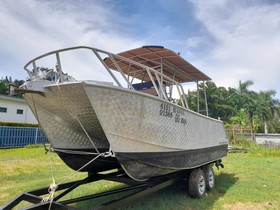 2019 Custom Catamaran