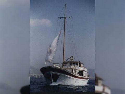  Traditional Adventure Cruiser