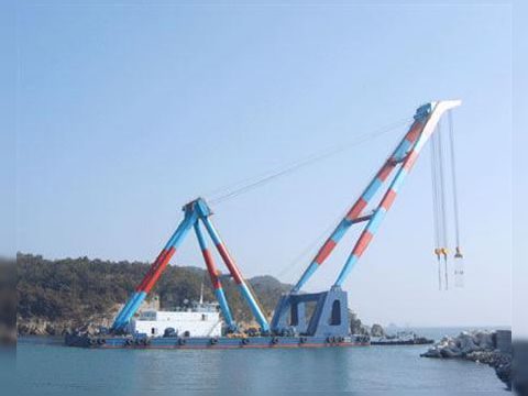  Floating Crane 100 Tons