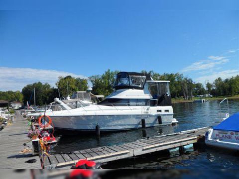 Silverton Aft My
