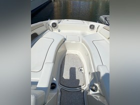 Koupit 2010 Sea Ray 280 Sundeck