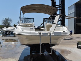 Buy 2019 Stingray 201