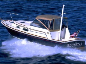 Buy 2022 Bruckmann Bluestar 29.9 Weekend Cruiser