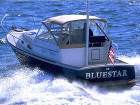 2022 Bruckmann Bluestar 29.9 Weekend Cruiser