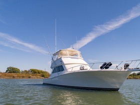 2001 Viking Convertible for sale