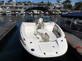 2013 Sea Ray 260 Sundeck for sale