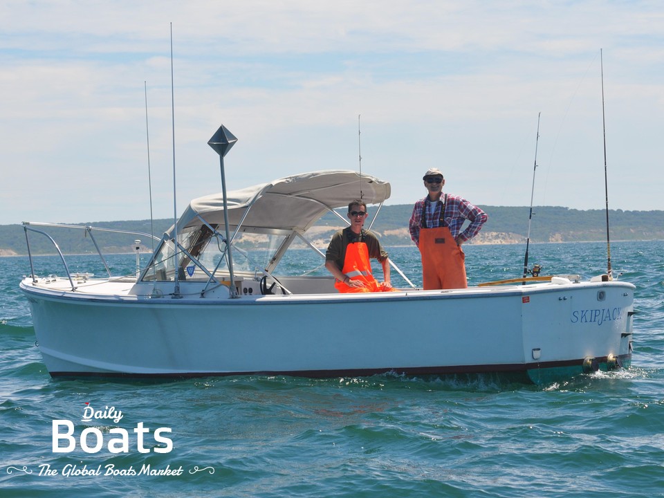 1976 Tripp 22 Complete Angler Bass Boat for sale. View price, photos