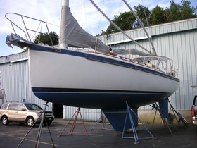 Buy 1987 Nonsuch 36