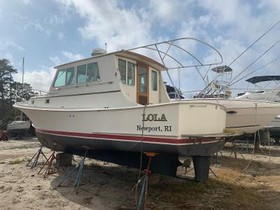 1987 Blue Seas Out Island 31 for sale