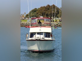 1977 Hatteras 37 Convertible for sale