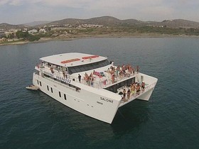 Buy 2015 Power Catamaran