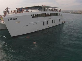 2015 Power Catamaran