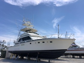 Buy 1981 Bertram 54