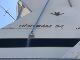 1981 Bertram 54