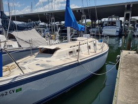 Koupit 1979 O'Day Sloop