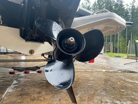 2017 Bayliner Element E18