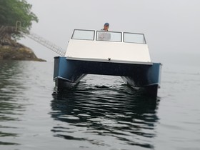 2011 Catamaran Power na sprzedaż