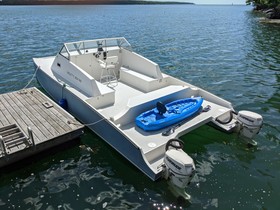 Buy 2011 Catamaran Power