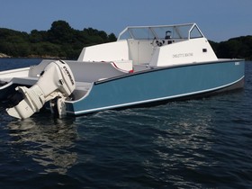 2011 Catamaran Power