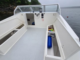 2011 Catamaran Power for sale