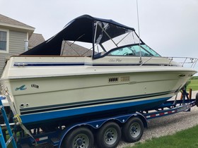 1987 Sea Ray 270 Amberjack zu verkaufen