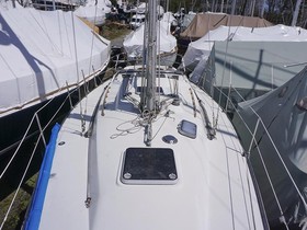 1984 C&C 35 Mkiii for sale