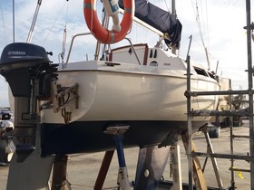 1978 Arcoa Elor for sale