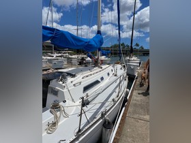 Buy 1988 Holby Clearwater 35