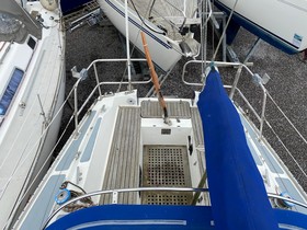 1977 Dolphin 31 for sale